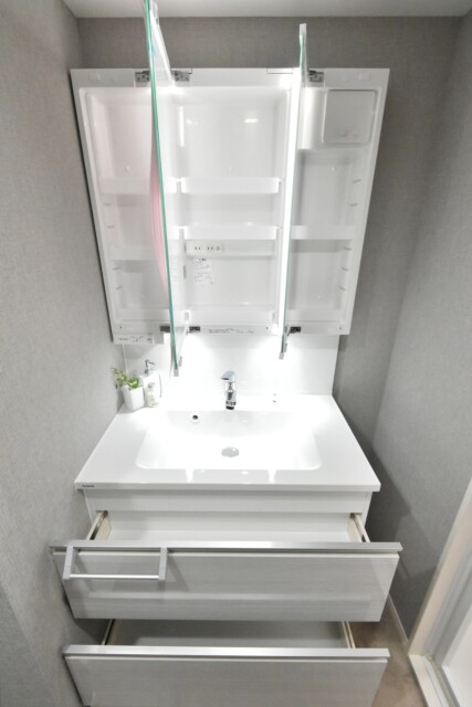 チサンマンション千石 洗面室