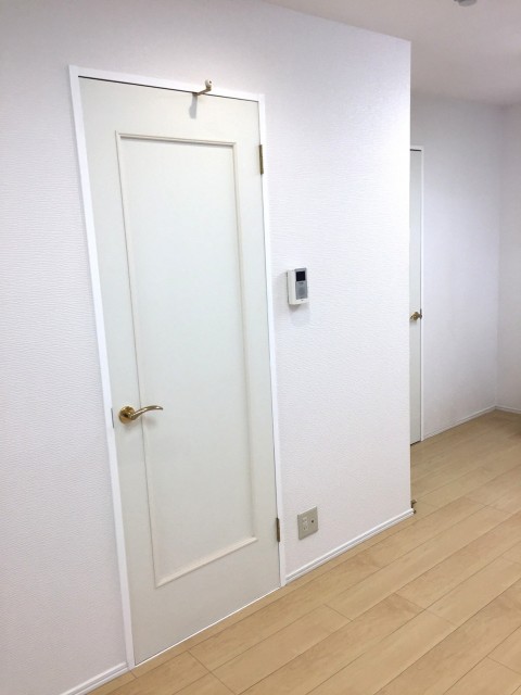 ライオンズマンショングリーン白金