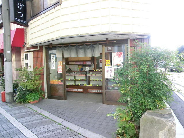 ダイアパレス高円寺　周辺環境