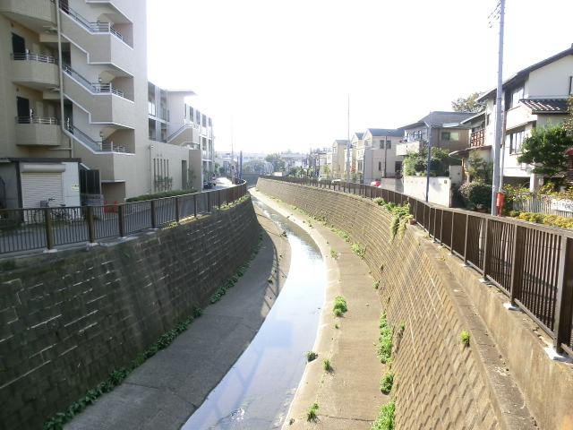 ダイアパレス高円寺　妙正寺川