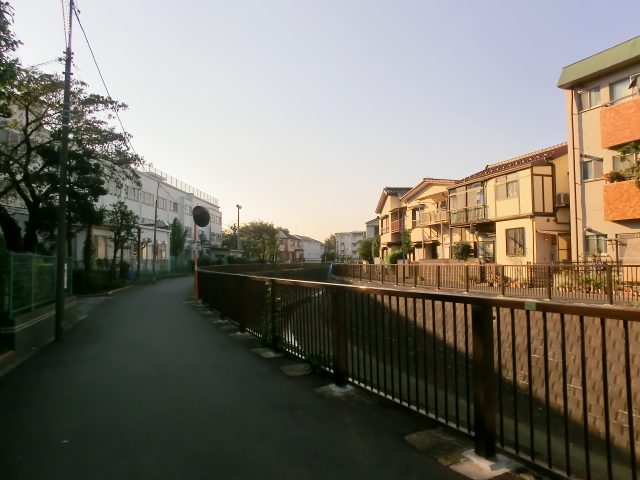 ダイアパレス高円寺　遊歩道
