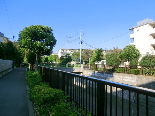 ダイアパレス高円寺　遊歩道