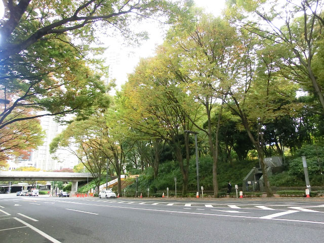 新宿中央公園