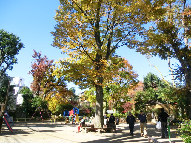 シャンボール松濤　鍋島松濤公園