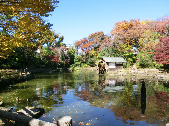 シャンボール松濤　鍋島松濤公園