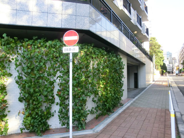 パセオ青山　外観