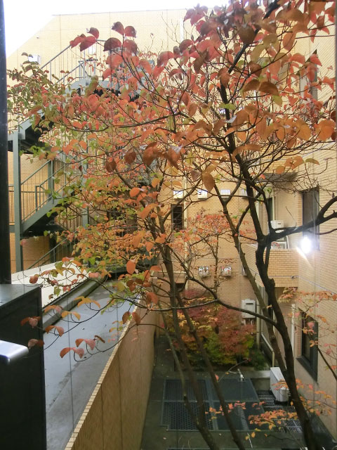 玄関の窓から見える眺望