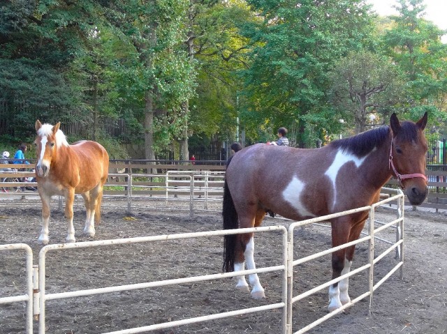 秀和参宮橋レジデンス　代々木ポニー公園