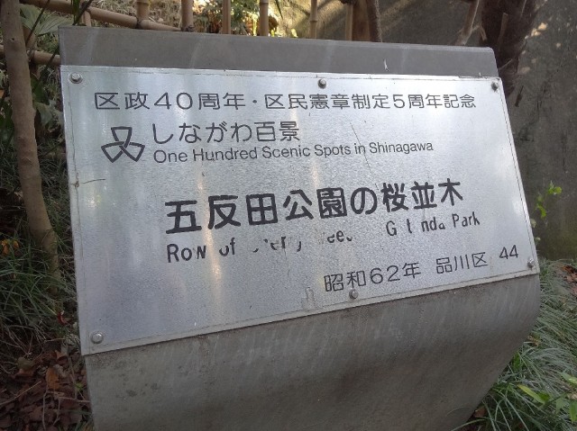 ベルメゾン池田山　五反田公園の桜並木