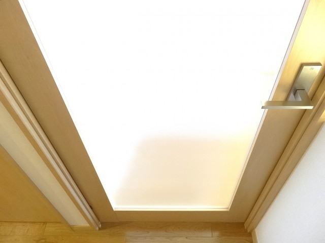 ディナスカーラ新宿　ＬＤＫの扉