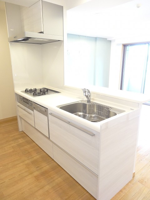 ディナスカーラ新宿　浄水器＆食洗器付きのシステムキッチン