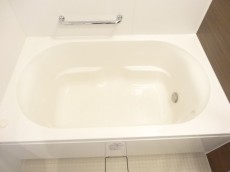 ディナスカーラ新宿　浴室乾燥機付きのバスルーム