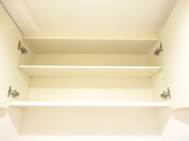 ディナスカーラ新宿　トイレにも収納バッチリ