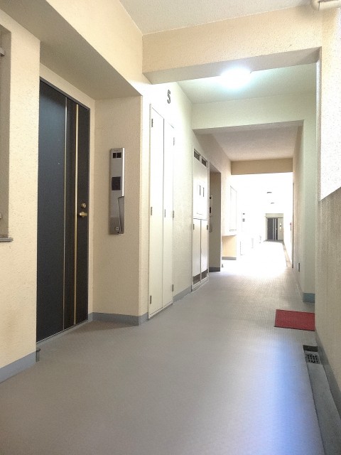 ディナスカーラ新宿　共用廊下