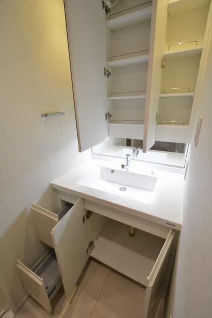 レジデンシャルステート砧　洗面台