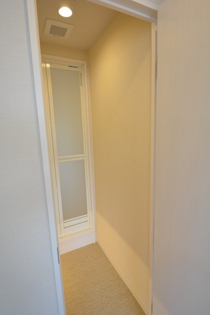 サンビューハイツ元麻布　洋室1シャワールーム