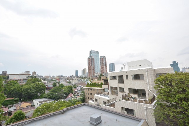 サンビューハイツ元麻布　眺望