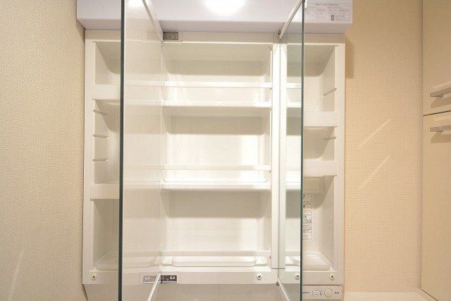 日神デュオステージ上北沢　3面鏡の裏は一面収納