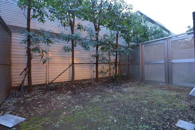 日神デュオステージ上北沢　約15㎡の専用庭