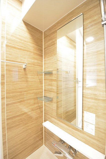 ミストサウナと浴室換気乾燥機付きのバスルーム