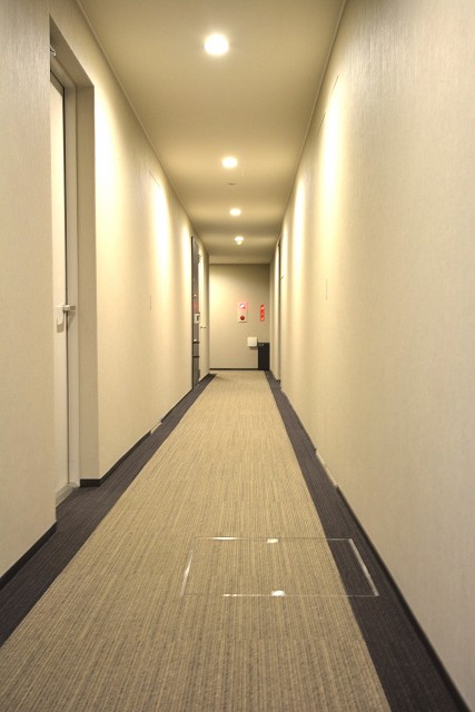 レジデンシャルステート砧　絨毯敷きの内廊下