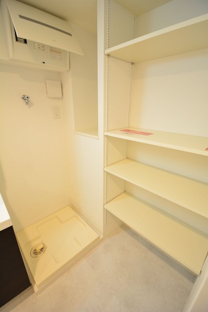 田町スカイハイツ 洗面室内の収納708