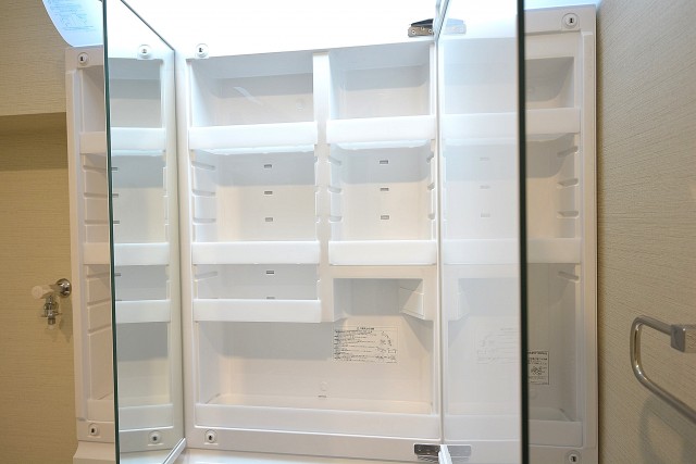 田町スカイハイツ　3面鏡裏は一面収納101