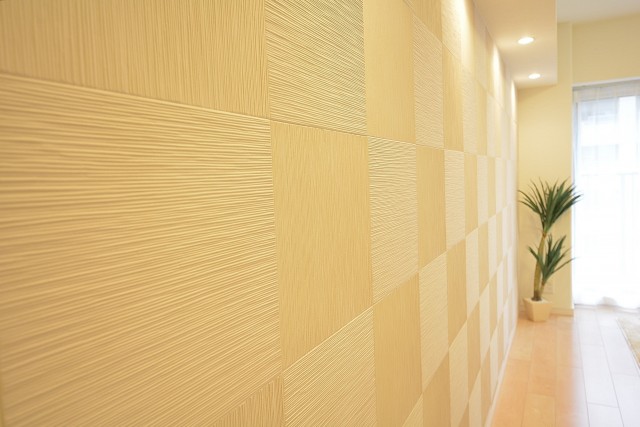 リビングの壁面のオシャレなエコカラット