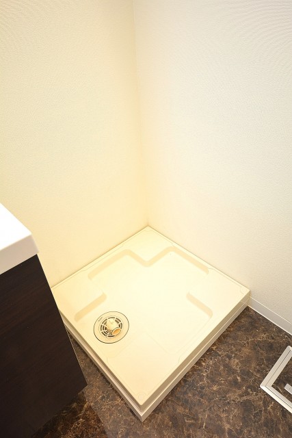 洗面化粧台の横は洗濯機置場