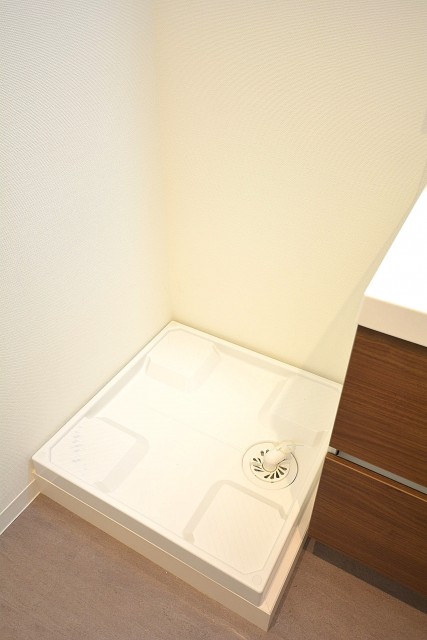 洗面化粧台の横は洗濯機置場