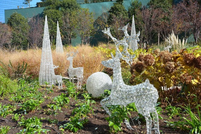 セントラルパークタワーラ・トゥール新宿　エントランス前