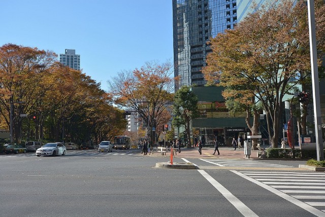 セントラルパークタワーラ・トゥール新宿　周辺