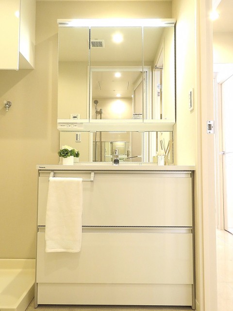 パシフィック馬事公苑前　洗面化粧台