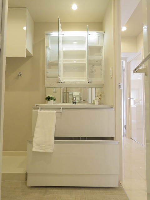 パシフィック馬事公苑前　洗面化粧台