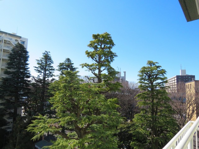 パシフィック馬事公苑前　眺望
