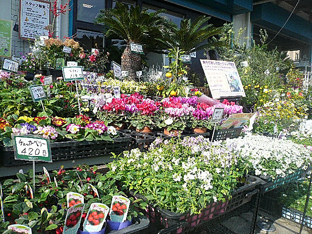 弦巻リハイム　マンションまでの道のり