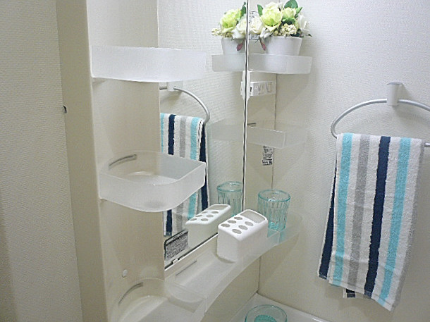 弦巻リハイム　ミラー両サイド収納205