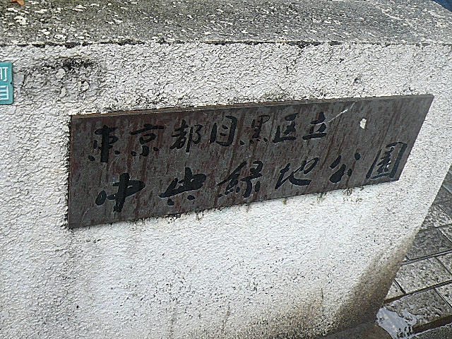 学芸大ハウス　マンションまでの道のり