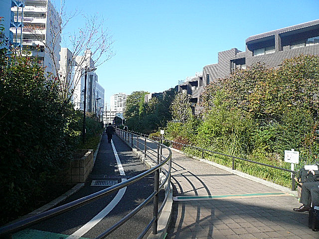 マンション駒場　マンション駒場　駅周辺