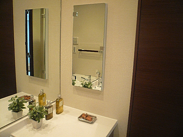 ワイドな洗面化粧台　サイドミラー