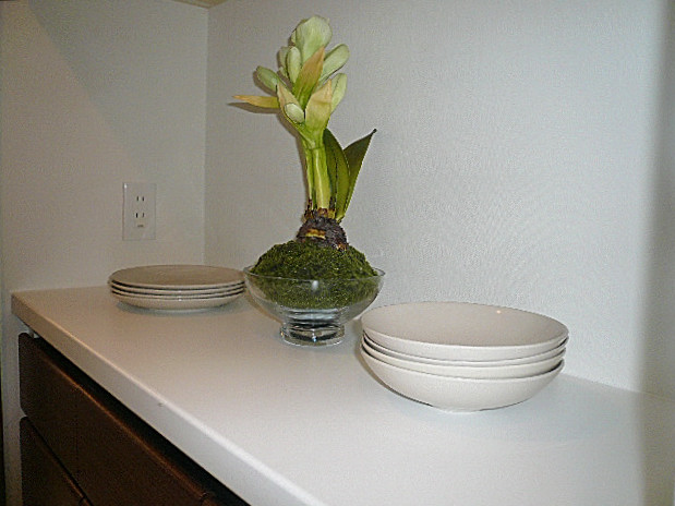 キッチン　カウンター付収納