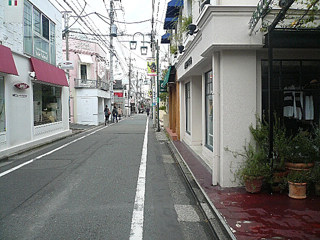 イトーピア自由が丘ＩＤＥＡ　マンションまでの道のり