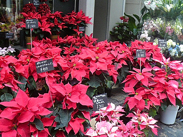 ライオンズマンション碑文谷　マンションまでの道のり