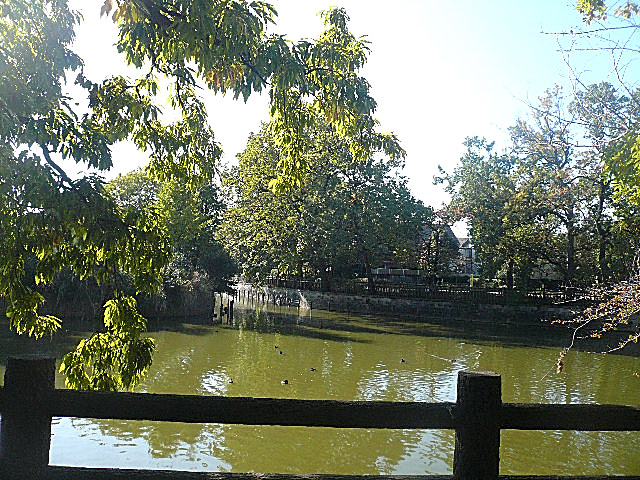ライオンズマンション碑文谷　碑文谷公園