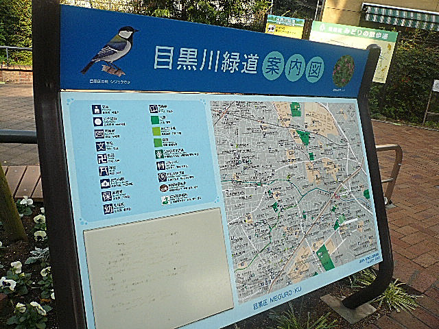 フォルスコート目黒大橋　周辺