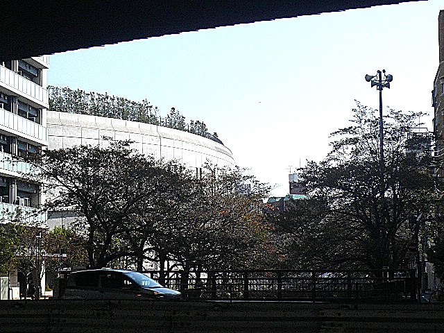 フォルスコート目黒大橋　周辺