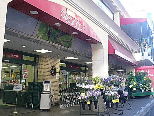 サンビューハイツ元麻布　ピーコック