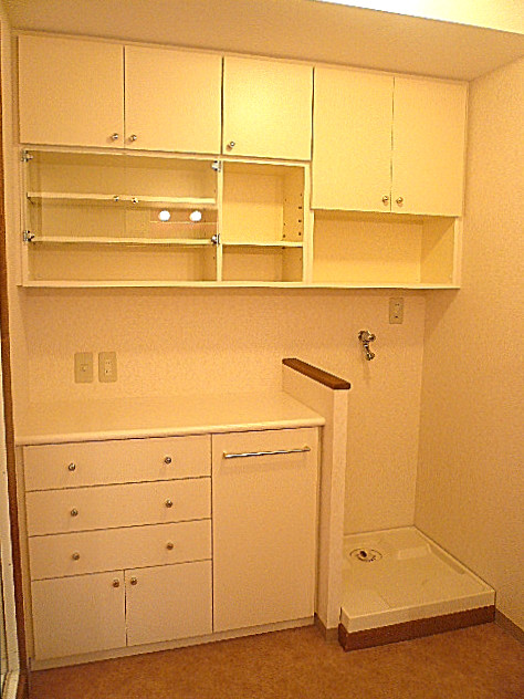 麻布網代マンション　サニタリールーム　収納