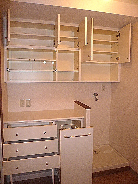 麻布網代マンション　サニタリールーム　収納