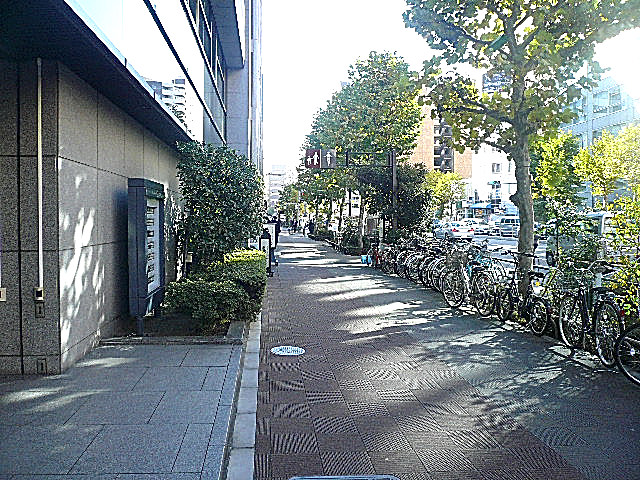 トーア新富マンション　周辺環境